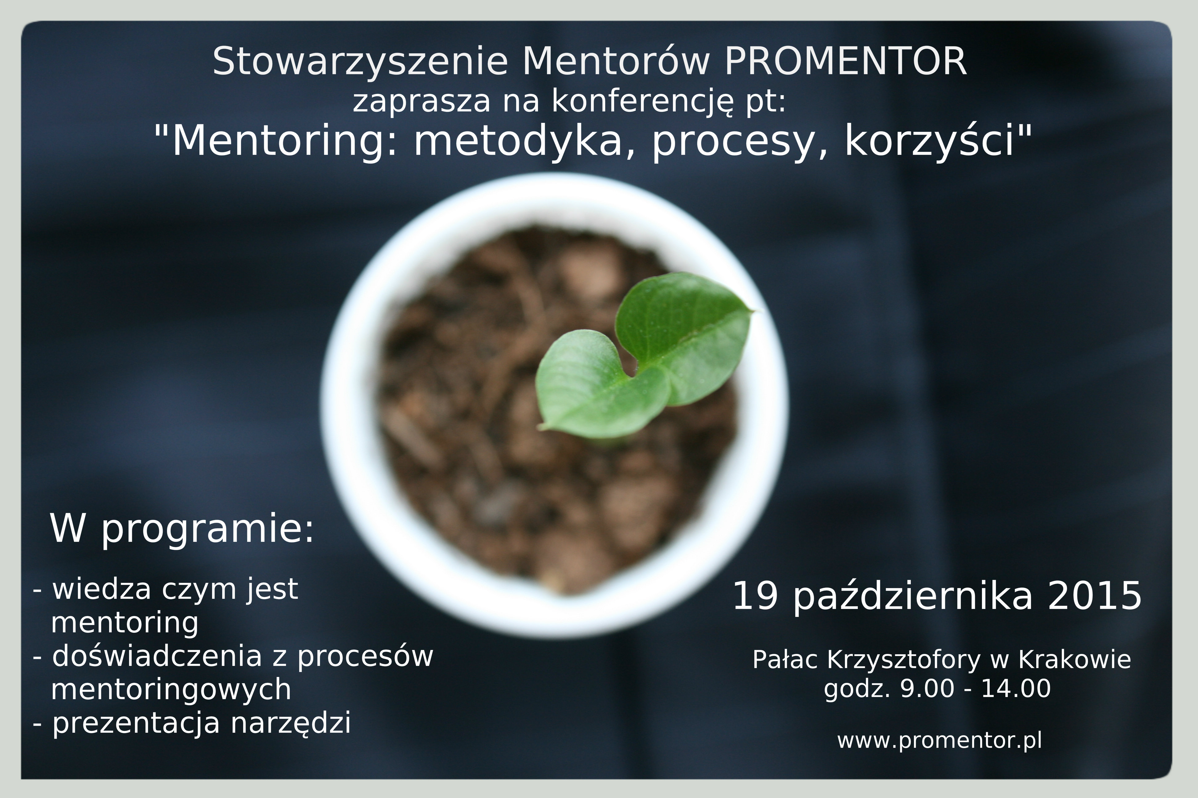 “Pokazujemy praktyczne korzyści jakie niesie klientom mentoring”.